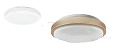 https://www.ledradiant.com/media/catalog/category/ceiling-mount-lights-233x100.jpg
