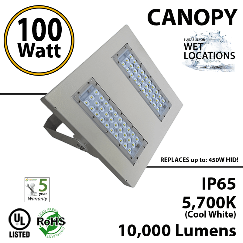 100W LED Canopy Light Ceiling Mount: 5500K 10000 Lm UL IP65