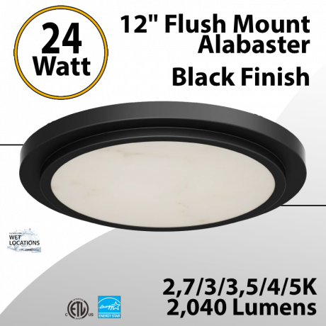 Flush Mount Alabaster 12" LED Ceiling Light, Black Finish