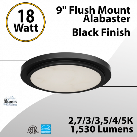 Flush Mount Alabaster 9" LED Ceiling Light, Black Finish 18W 1530Lm 5CCT (LED)