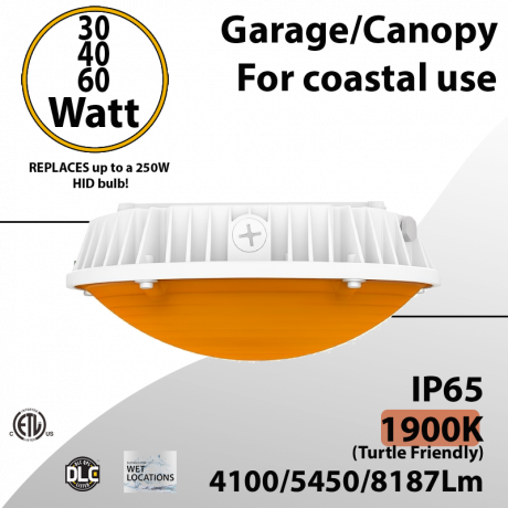 LED Canopy Light Turtle Friendly and 5000K 30/40/60W 8187Lm