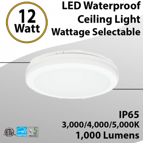 12W LED Waterproof Ceiling Light