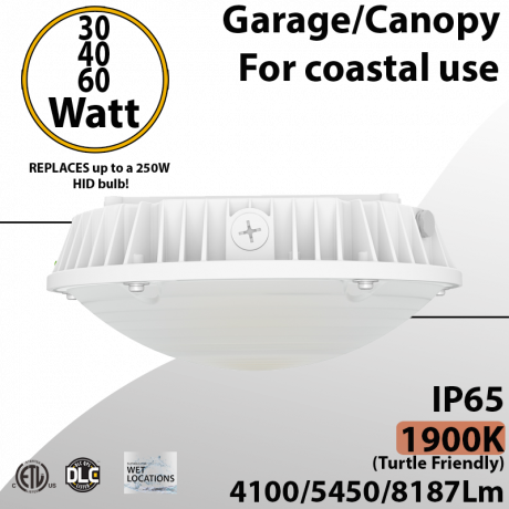 Turtle Friendly Lighting Canopy or Garage Fixture