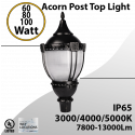 Post Top Acorn Decoration Light 60W 80W 100W 13000Lm 30/40/50K 