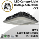 Efficient LED Canopy Light 40/60/80/100W Tunable 3000/4000/5000K 