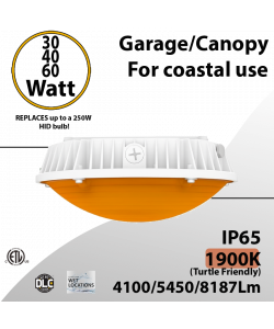 LED Canopy Light Turtle Safe Coastal Use 30/40/60W 8187Lm