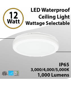 12W LED Waterproof Ceiling Light