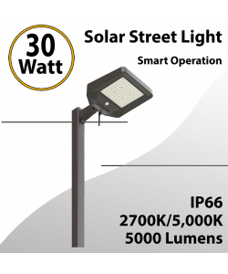 Solar Street Light 30W