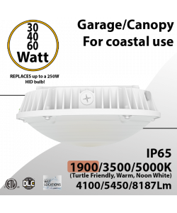 LED Canopy Light Turtle Friendly and 5000K  30/40/60W 8187Lm