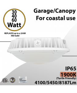 Turtle Friendly Lighting Canopy or Garage Fixture