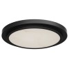 Flush Mount Alabaster 12" LED Ceiling Light, Black Finish 24W 2040Lm 5CCT