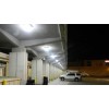 Outdoor canopy lights