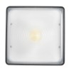 Led Canopy Light Front