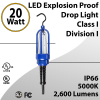 LED Explosion Proof Drop Light 20W 4200Lm Class I Division I (LED)