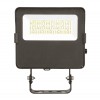 LED Flood Light Trunion Front