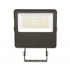 Flood Trunion 155W Front