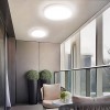 Flush Mount Light 9"