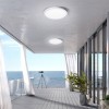 Flush Mount Light 5" Balcony
