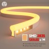 LED Neon Light