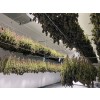LED Plant Grow Lights High Yield