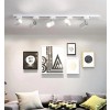 Track Lighting Head Combination
