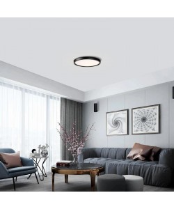 Flush Mount Alabaster 12" LED Ceiling Light, Black Finish 24W 2040Lm 5CCT