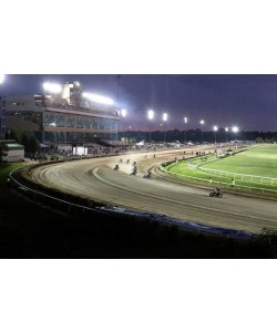 LED Stadium Lights 650W 97500 lumens IP66 ETL DLC 277-480V