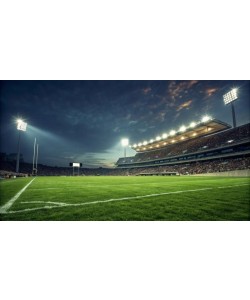 Stadium Light 480V Tunable 800/720/600W 5000K 120000Lm 30/45/60° Tunable