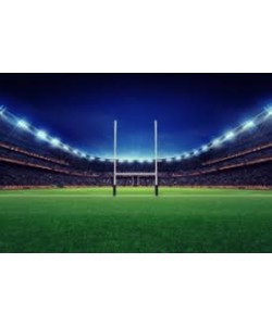 Field Lighting Stadium 480V 1200/1000/800W 163,846Lm 30/45/60° Tunable