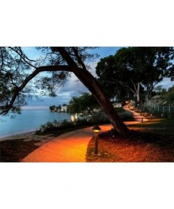 Turtle Friendly Lighting Led Corn Bulb 30W 3000Lm 2300K E26/E39 (W/adapter)